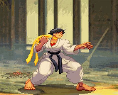 street fighter perfect gif|Streetfighter Fighter GIFs